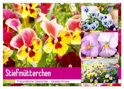 Cover-Bild zum Titel 'Stiefmütterchen Freundliche Gesichter (Wandkalender 2026 DIN A2 quer), CALVENDO Monatskalender' von 'Gisela Kruse'