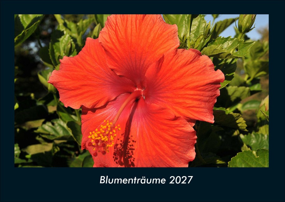 Blumenträume 2027 Fotokalender DIN A4 - Tobias Schmitt, Kevin Heber