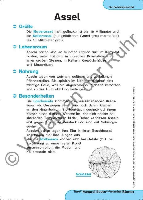 InsideView 2