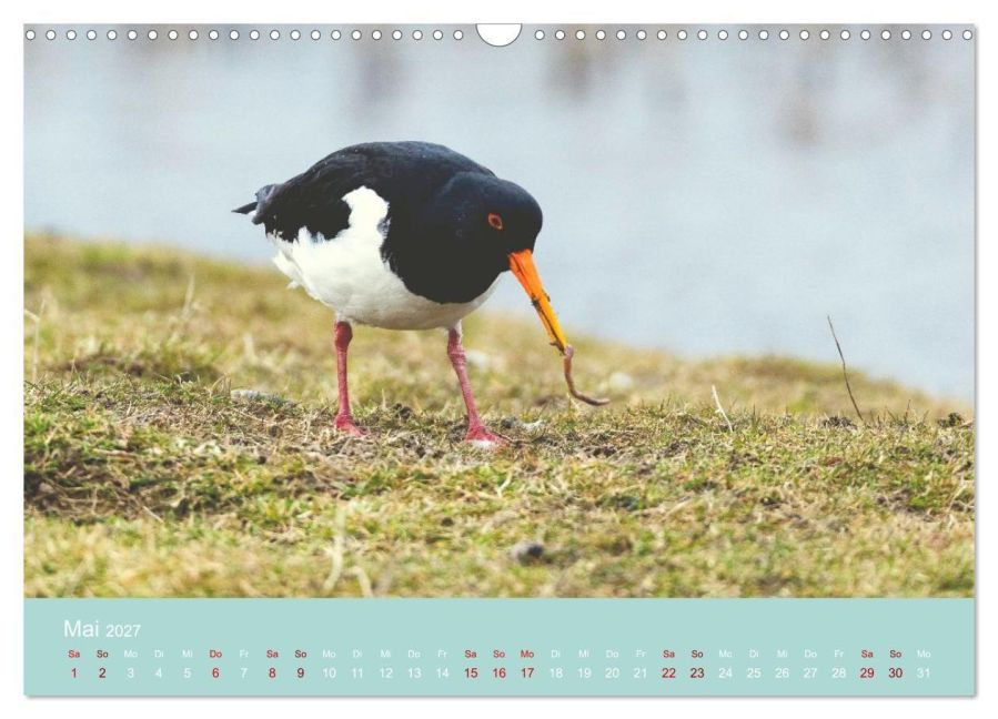 InsideView 10