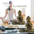 Cover-Bild zum Titel 'Essentielle Meditation' von 'Richard Vallance'