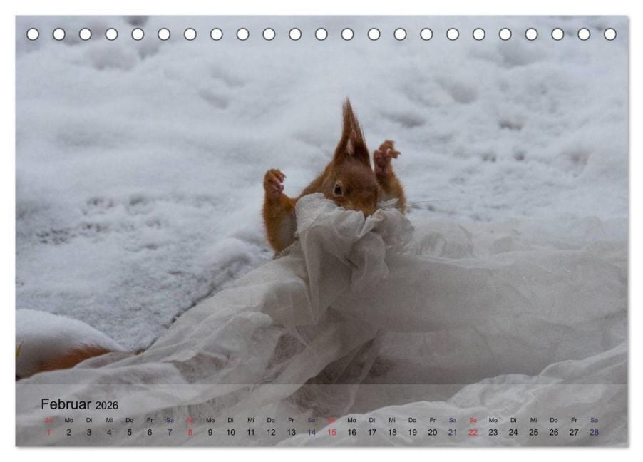 InsideView 7