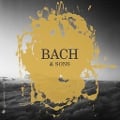 Bach & Sons - Beyer/Stern/Balestracci/Banchini/Gli Incogniti