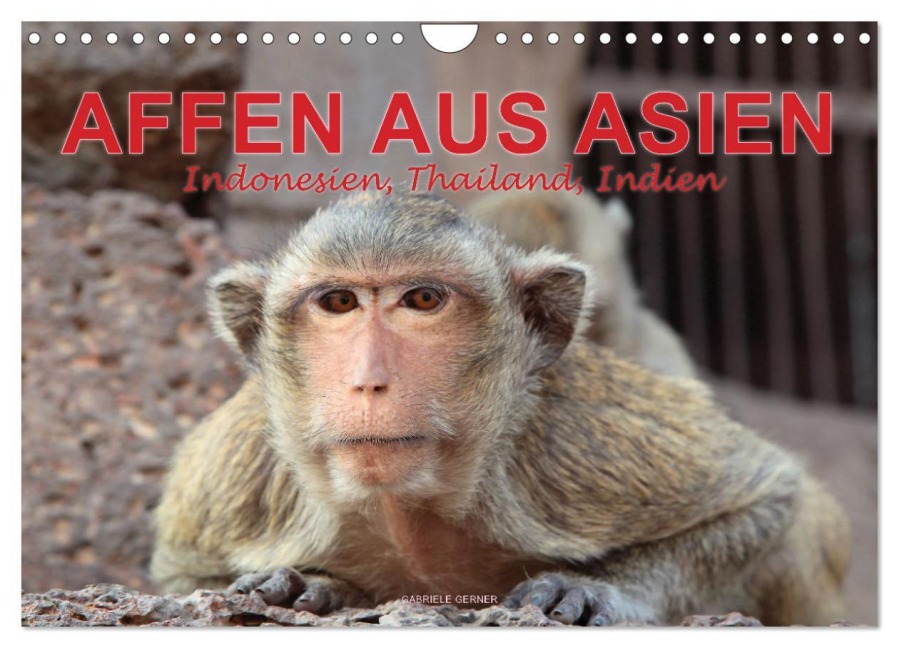 AFFEN AUS ASIEN Indonesien, Thailand, Indien (Wandkalender 2026 DIN A4 quer), CALVENDO Monatskalender - Gabriele Gerner