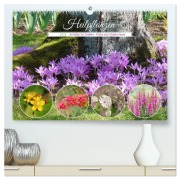 Cover-Bild zum Titel 'Heilpflanzen - Schätze im Garten (hochwertiger Premium Wandkalender 2026 DIN A2 quer), Kunstdruck in Hochglanz' von 'Gisela Kruse'