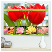 Tulpen. Zauberhafte Blütenpracht (hochwertiger Premium Wandkalender 2026 DIN A2 quer), Kunstdruck in Hochglanz - Rose Hurley