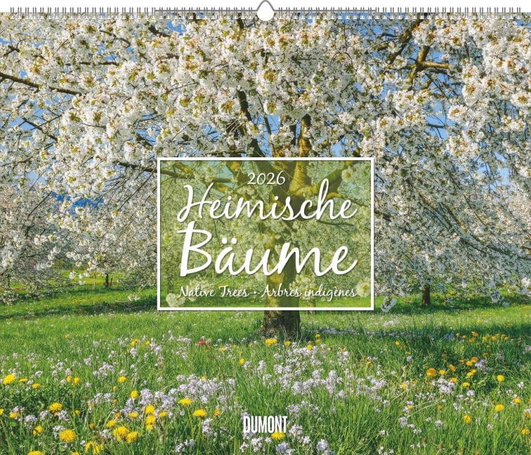 Heimische Bäume 2026 - Wandkalender 60x50 cm - Spiralbindung - 
