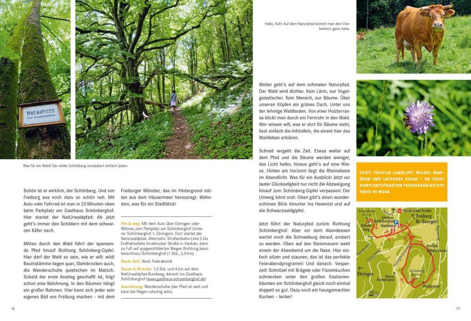 InsideView 4