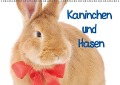 Kaninchen und Hasen (Wandkalender immerwährend DIN A2 quer) - Elisabeth Stanzer
