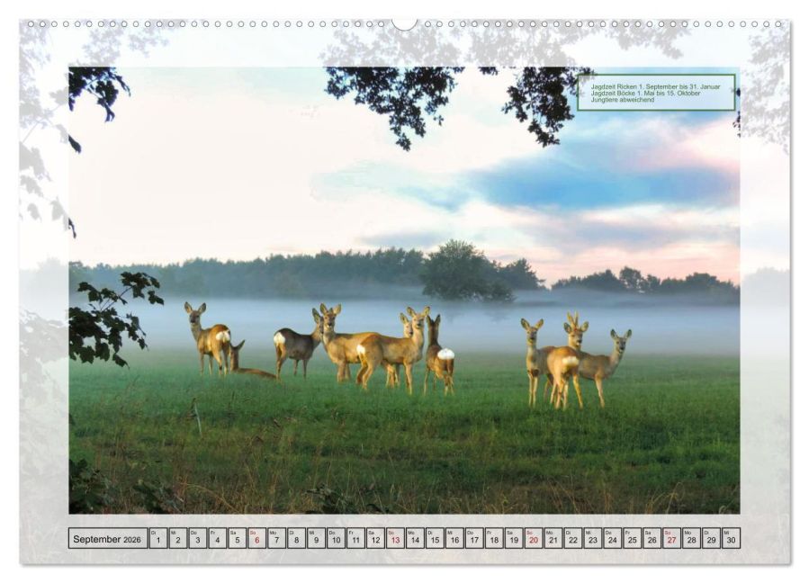InsideView 14