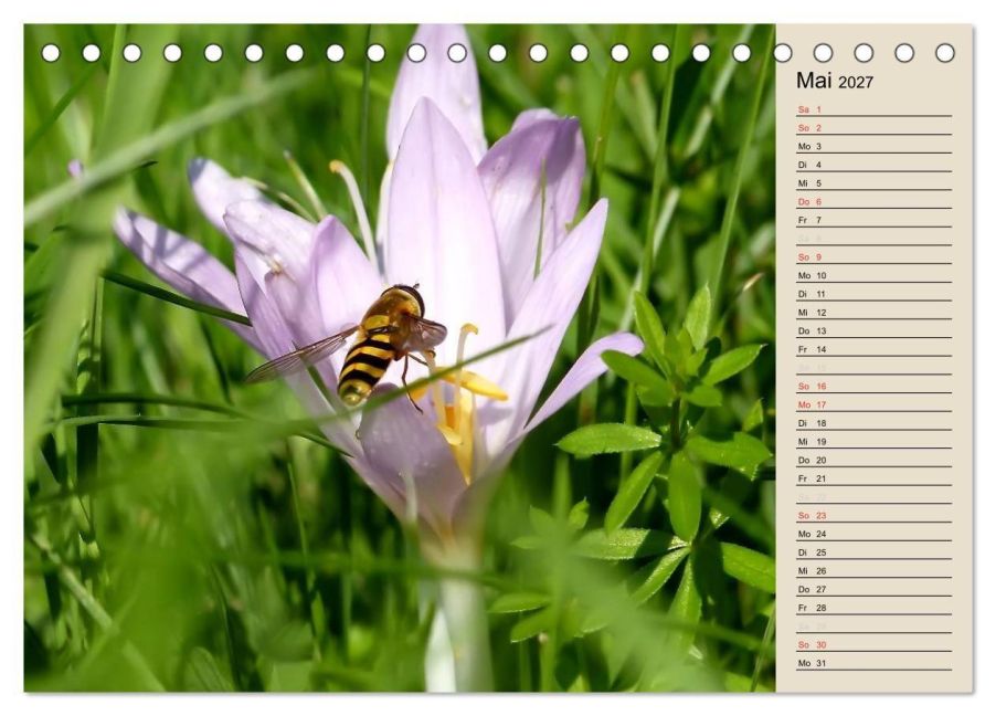 InsideView 10