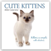 Cute Kittens - Niedliche Kätzchen 2026 - 16-Monatskalender - Gifted Stationery Co. Ltd