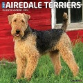 Just Airedale Terriers 2024 12 X 12 Wall Calendar - Willow Creek Press