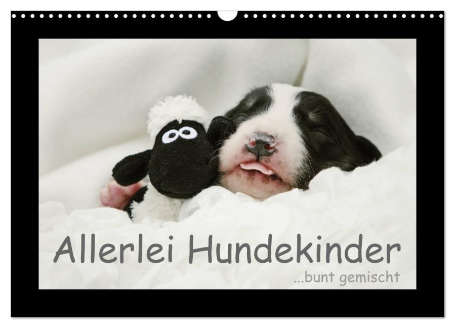 Allerlei Hundekinder (Wandkalender 2025 DIN A3 quer), CALVENDO Monatskalender - Kathrin Köntopp
