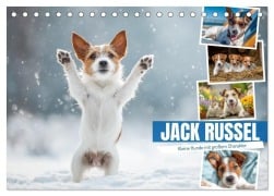 Cover-Bild zum Titel 'JACK RUSSEL - Kleine Hunde mit großem Charakter (Tischkalender 2026 DIN A5 quer), CALVENDO Monatskalender' von 'Mb Fotografie'