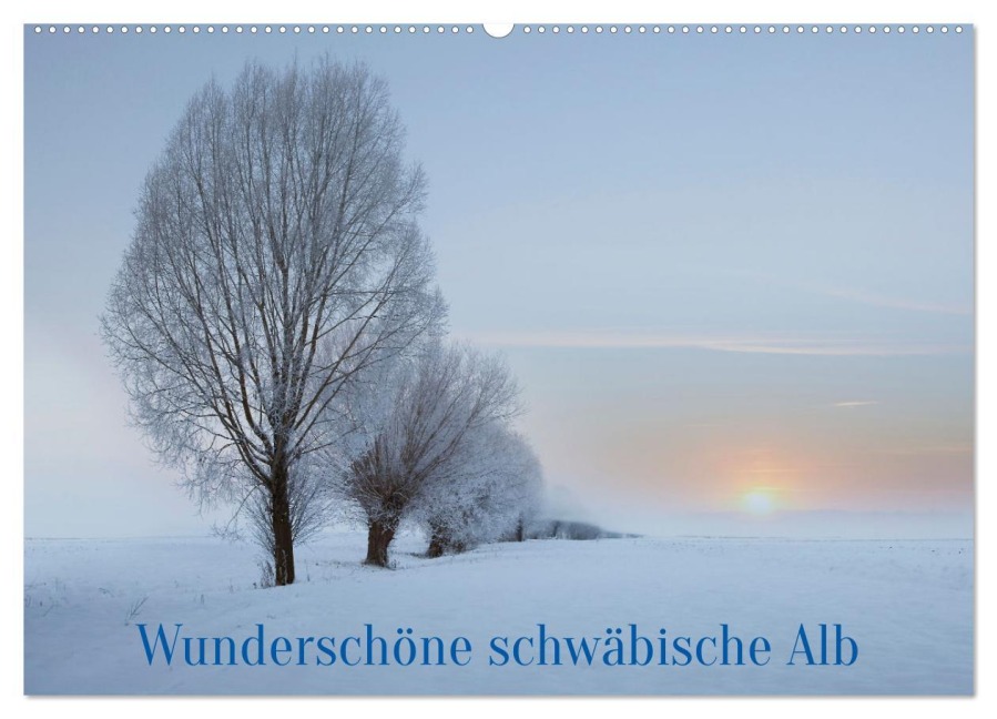 Wunderschöne schwäbische Alb (Wandkalender 2026 DIN A2 quer), CALVENDO Monatskalender - Irma Warth