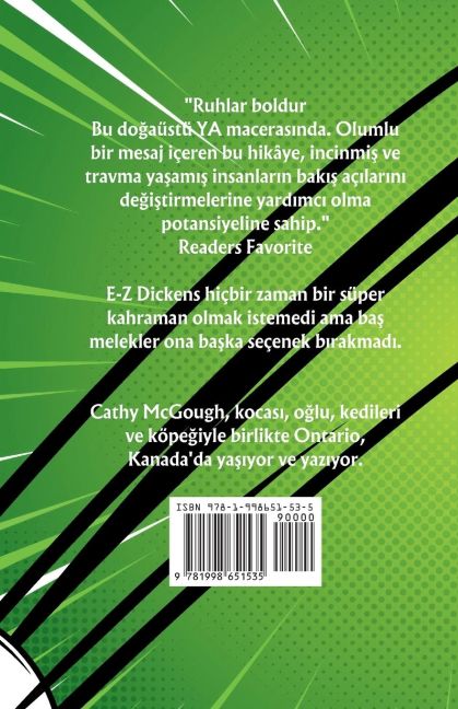 InsideView 1