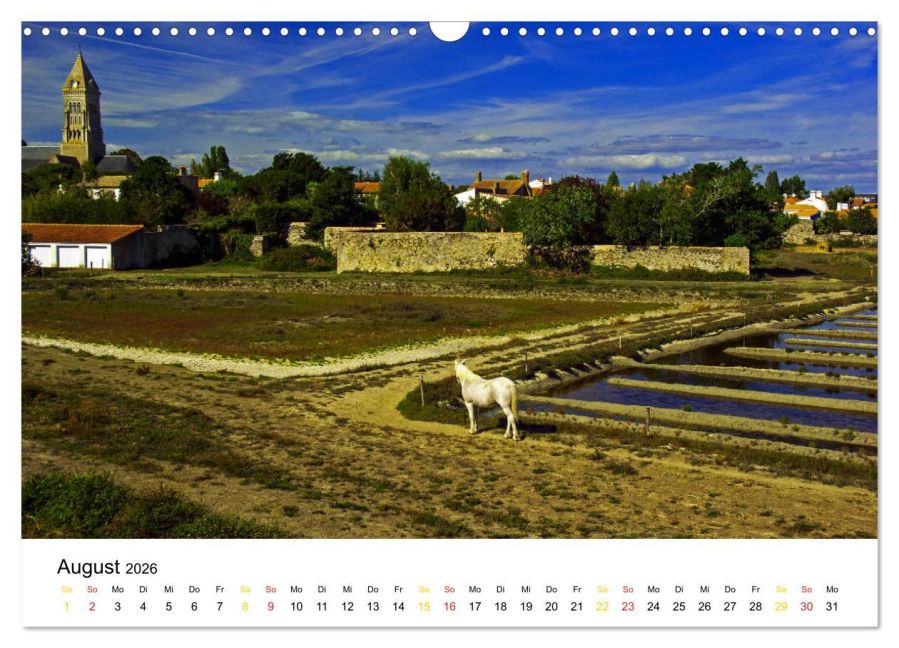 InsideView 13
