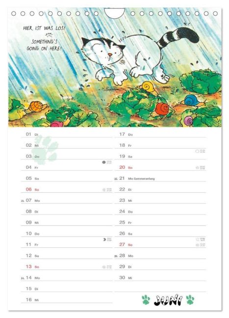 InsideView 11