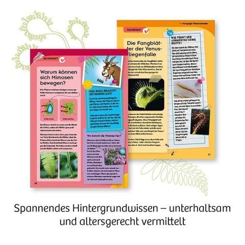 InsideView 5