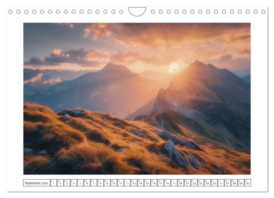 InsideView 14