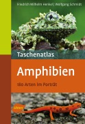 Cover-Bild zum Titel 'Taschenatlas Amphibien' von 'Friedrich Wilhelm Henkel, Wolfgang Schmidt'