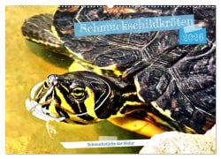 Cover-Bild zum Titel 'Schmuckschildkröten - Schmuckstücke der Natur (Wandkalender 2026 DIN A2 quer), CALVENDO Monatskalender' von 'Henning von Löwis of Menar'
