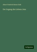 Der Irrgang des Lebens Jesu - Albert Friedrich Benno Dulk