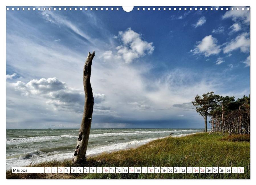 InsideView 10