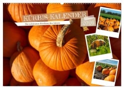 Cover-Bild zum Titel 'KÜRBIS KALENDER - Die schönsten Kürbisse des Jahres (Wandkalender 2026 DIN A2 quer), CALVENDO Monatskalender' von 'Michael Bihlmayer - Bihlmayer-MEDIA'