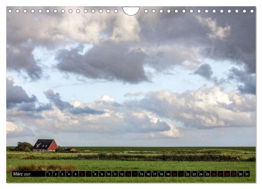 InsideView 8