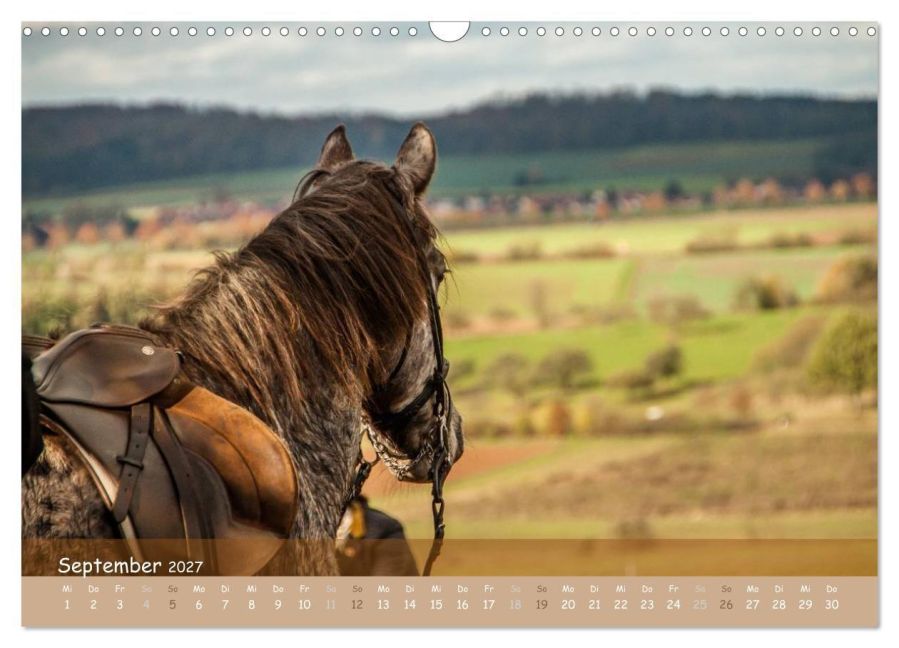 InsideView 14