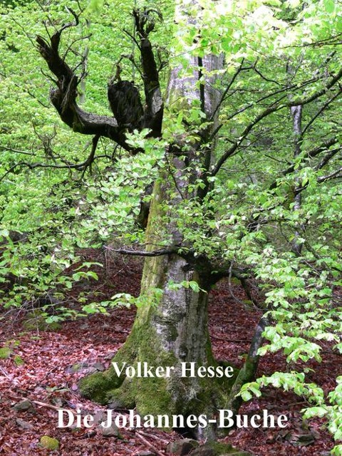 Die Johannes-Buche - Volker Hesse