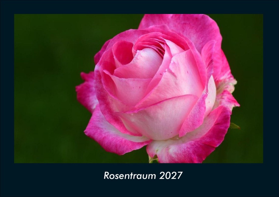 Rosentraum 2027 Fotokalender DIN A4 - Tobias Schmitt, Kevin Heber