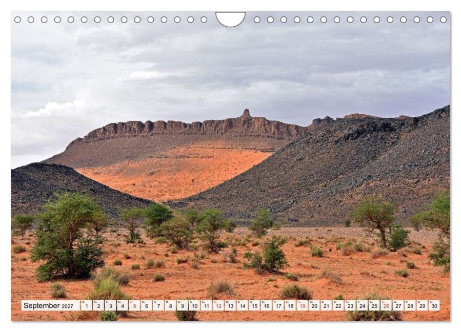 InsideView 14