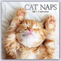 Cat Naps - Träumende Katzen 2024 - 16-Monatskalender - Gifted Stationery Co. Ltd