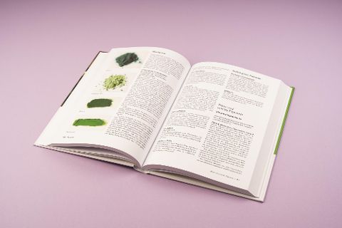 InsideView 5