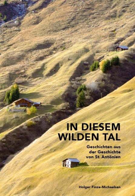 In diesem wilden Tal - Holger Finze-Michaelsen