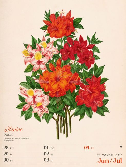 InsideView 30