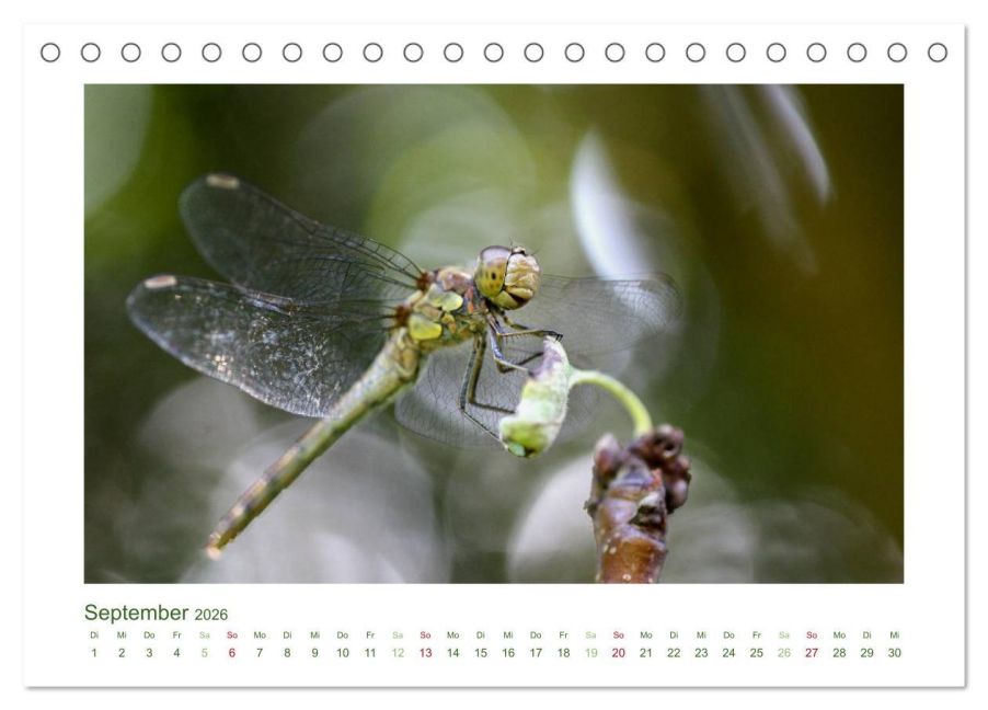 InsideView 14