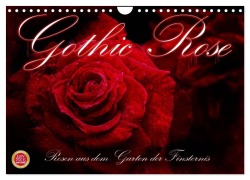 Gothic Rose - Rosen aus dem Garten der Finsternis (Wandkalender 2026 DIN A4 quer), CALVENDO Monatskalender - Martina Cross