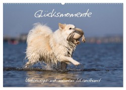 Cover-Bild zum Titel 'Glücksmomente - Unterwegs mit meinem Islandhund (Wandkalender 2026 DIN A2 quer), CALVENDO Monatskalender' von 'Monika Scheurer'