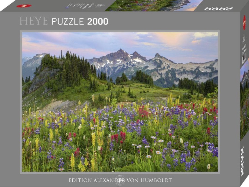 Tatoosh Mountains - 