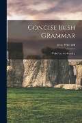 Concise Irish Grammar: With Pieces for Reading - Ernst Windisch