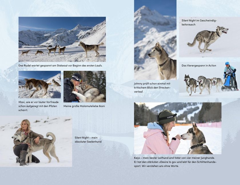 InsideView 11