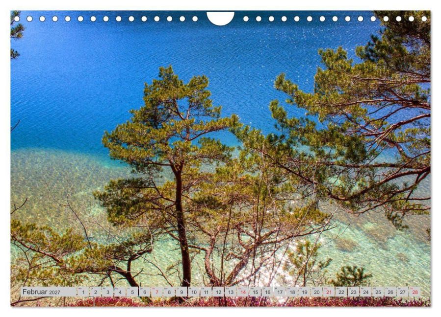 InsideView 7