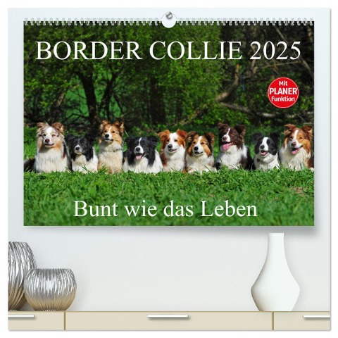 Border Collie 2025 (hochwertiger Premium Wandkalender 2025 DIN A2 quer), Kunstdruck in Hochglanz - Sigrid Starick