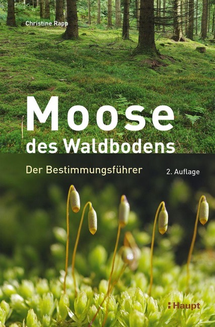 Moose des Waldbodens - Christine Rapp