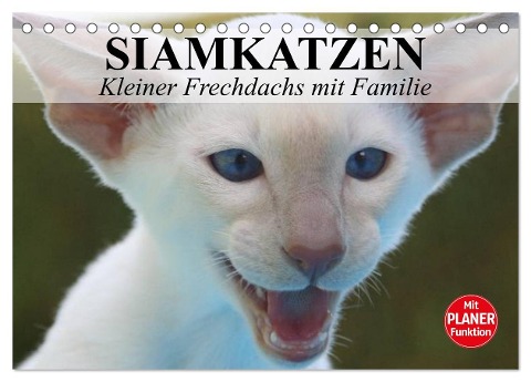 Siamkatzen - Kleiner Frechdachs mit Familie (Tischkalender 2025 DIN A5 quer), CALVENDO Monatskalender - Elisabeth Stanzer