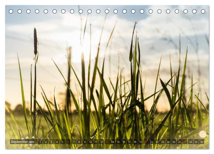 InsideView 14